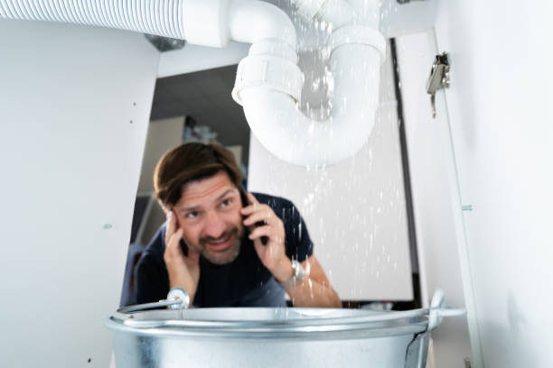 Best Leak Detection Services  in Lake Barrington, IL