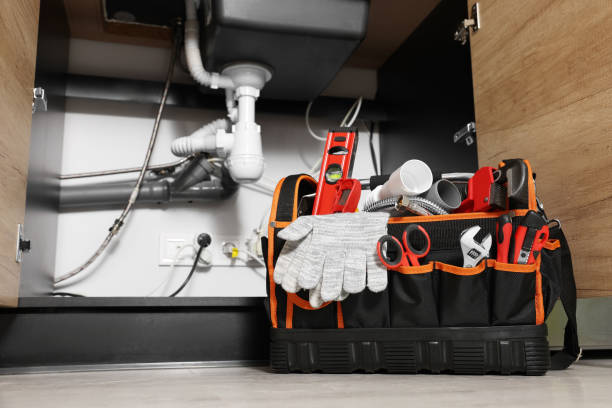 Best Clogged Drain Plumber  in Lake Barrington, IL