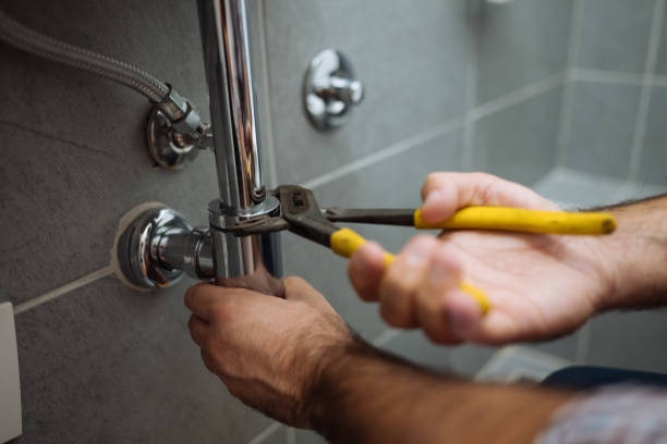 Best Local Plumber Services  in Lake Barrington, IL